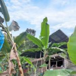 finca en venta vía La Cabaña Manizales sector El Chuzo