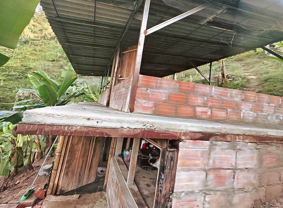 finca-en-venta-cia-la-cabaña-vereda-el-chuzo-produccion-platano-im-2