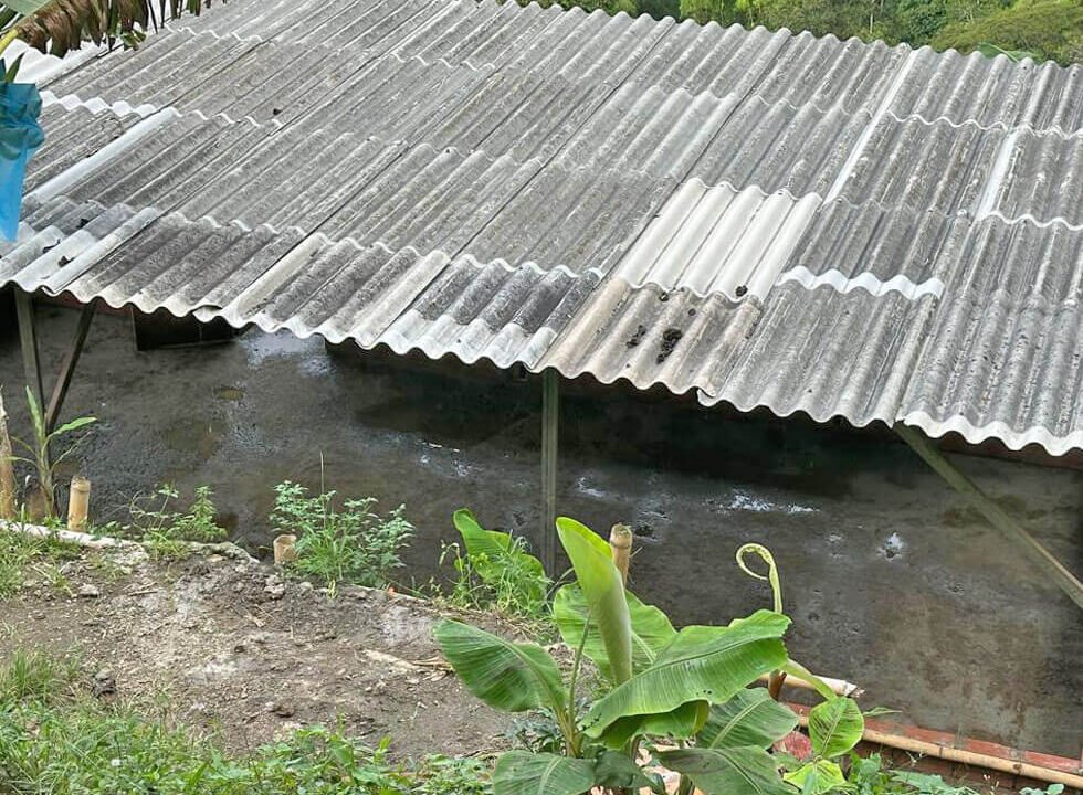finca-en-venta-cia-la-cabaña-vereda-el-chuzo-produccion-platano-im-3