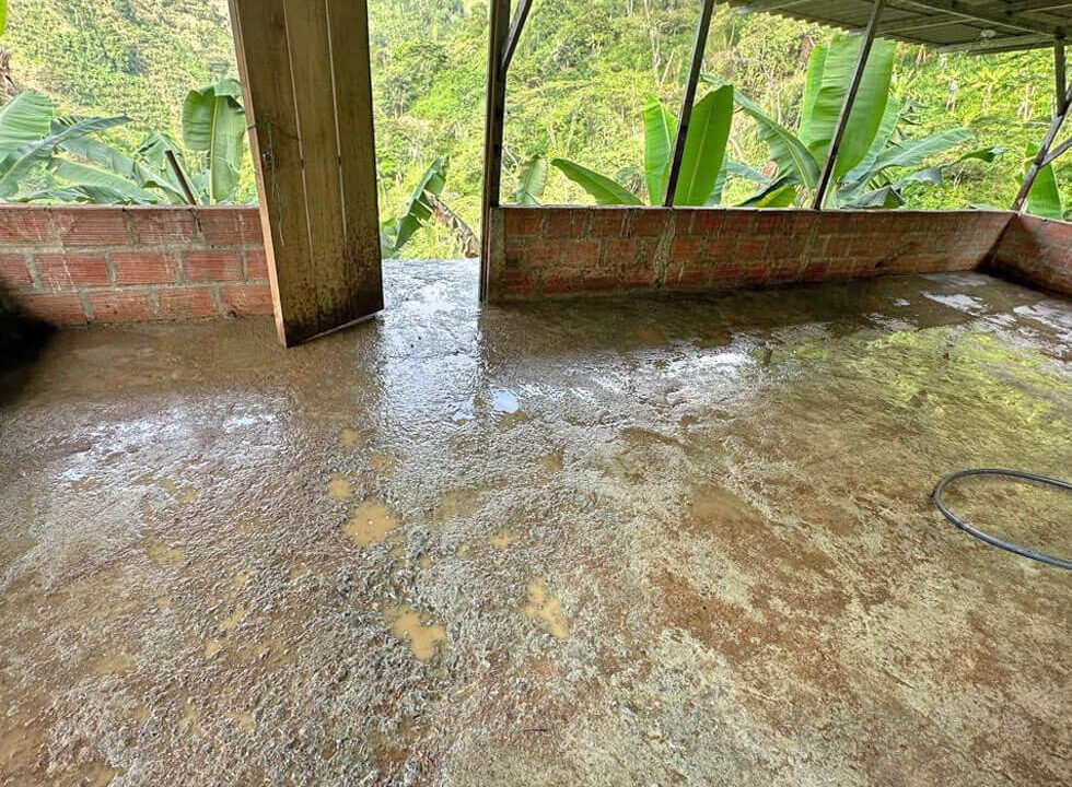 finca-en-venta-cia-la-cabaña-vereda-el-chuzo-produccion-platano-im-4