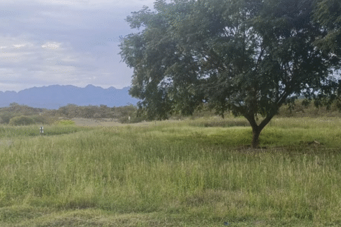 lote_campestre_en_venta_neiva_huila_3