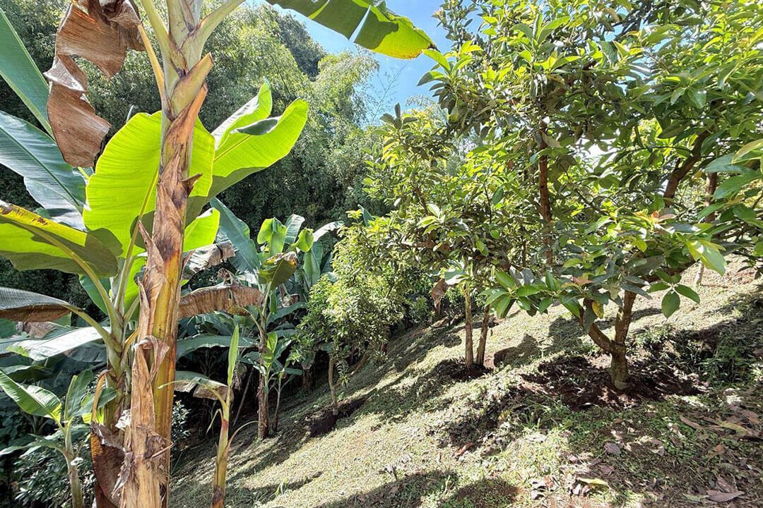 venta-casa-campestre-combia-pereira-im11