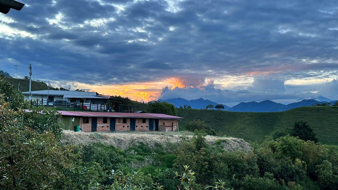 venta-finca-productora-aguacate-hass-padua-fresno-tolima-10