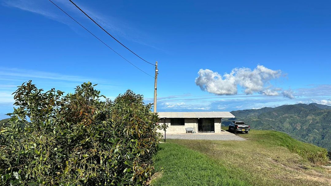 venta-finca-productora-aguacate-hass-padua-fresno-tolima-11