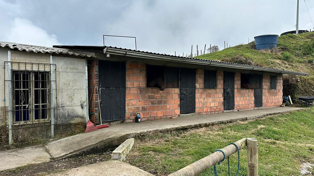 venta-finca-productora-aguacate-hass-padua-fresno-tolima-8