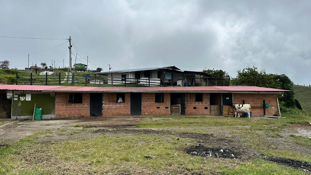 venta-finca-productora-aguacate-hass-padua-fresno-tolima-9