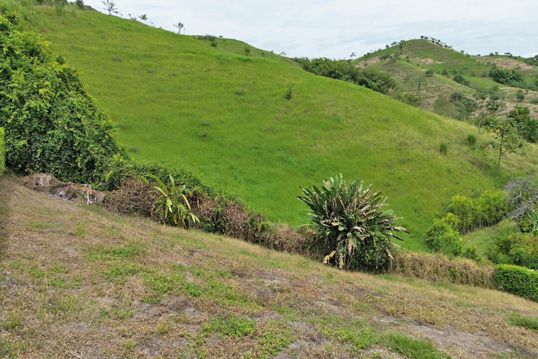 venta_lote_campestre_palestina_conjunto_cerrado_la_ceiba_2