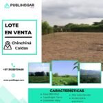 Lote campestre en venta en Palestina Caldas con topografía plana y vista panorámica