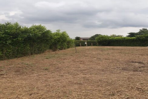 venta_lote_rural_campestre_Chinchiná_3