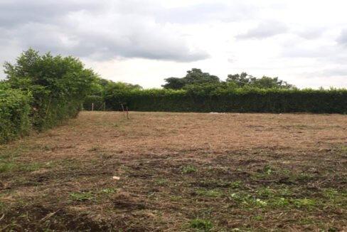 venta_lote_rural_campestre_Chinchiná_4