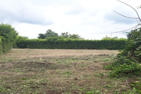 venta_lote_rural_campestre_Chinchiná_5